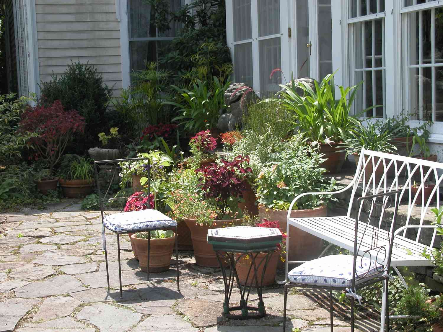 10 Tips for Fabulously Growing Outstanding Tomatoes in Your Backyard